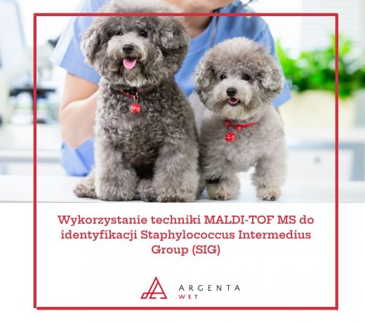 Wykorzystanie techniki MALDI-TOF MS 