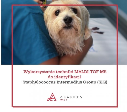 Wykorzystanie techniki MALDI-TOF MS 