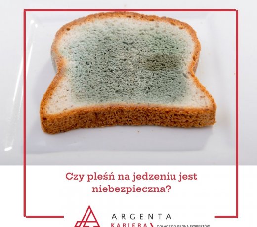 Czy pleśń na jedzeniu jest niebezpieczna?