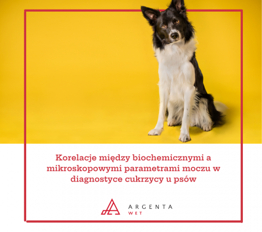 Korelacje między biochemicznymi a mikroskopowymi parametrami moczu w diagnostyce cukrzycy u psów