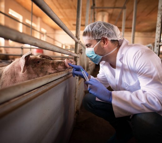 Zastosowanie biologii molekularnej w diagnostyce weterynaryjnej