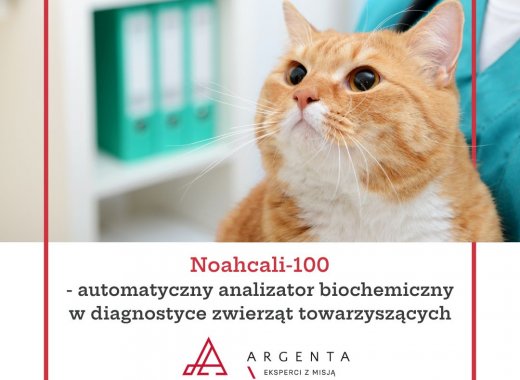 Noahcali-100 - automatyczny analizator biochemiczny w diagnostyce zwierząt towarzyszących